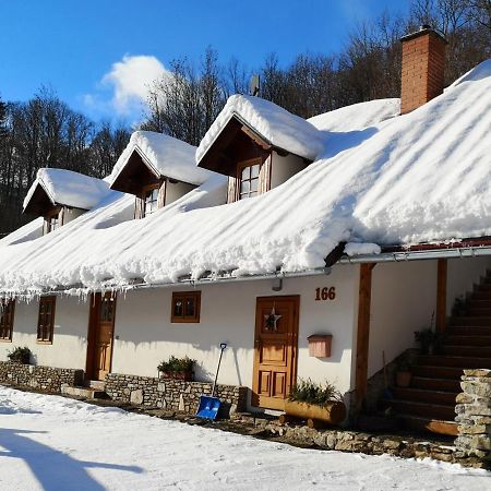 Penzion 166 - Herlikovice Vrchlabí Dış mekan fotoğraf